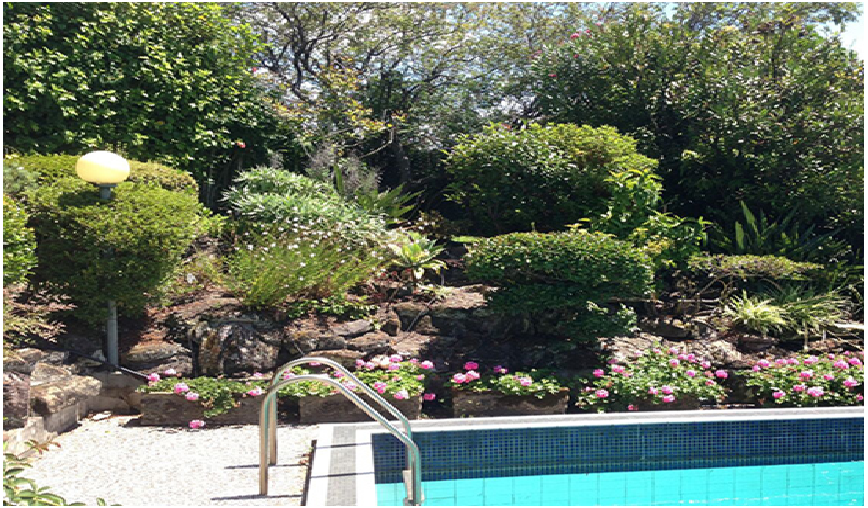 How To Carefully Landscape Your Pool: An Overview Of The Design Process